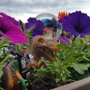 Meet your Posher, Victoria